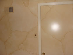 Adnimal hide finish