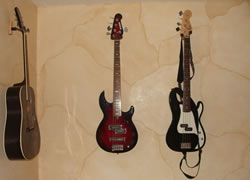 Animal hide finish