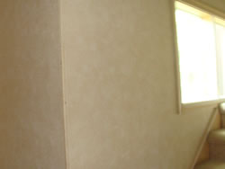 Textured suede walls (S63)