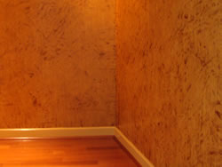 Venetian plaster finish in entry foyer (S68)